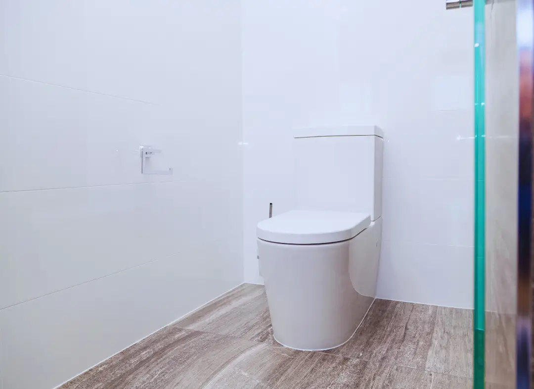 Remplacement de wc Saint-Lys