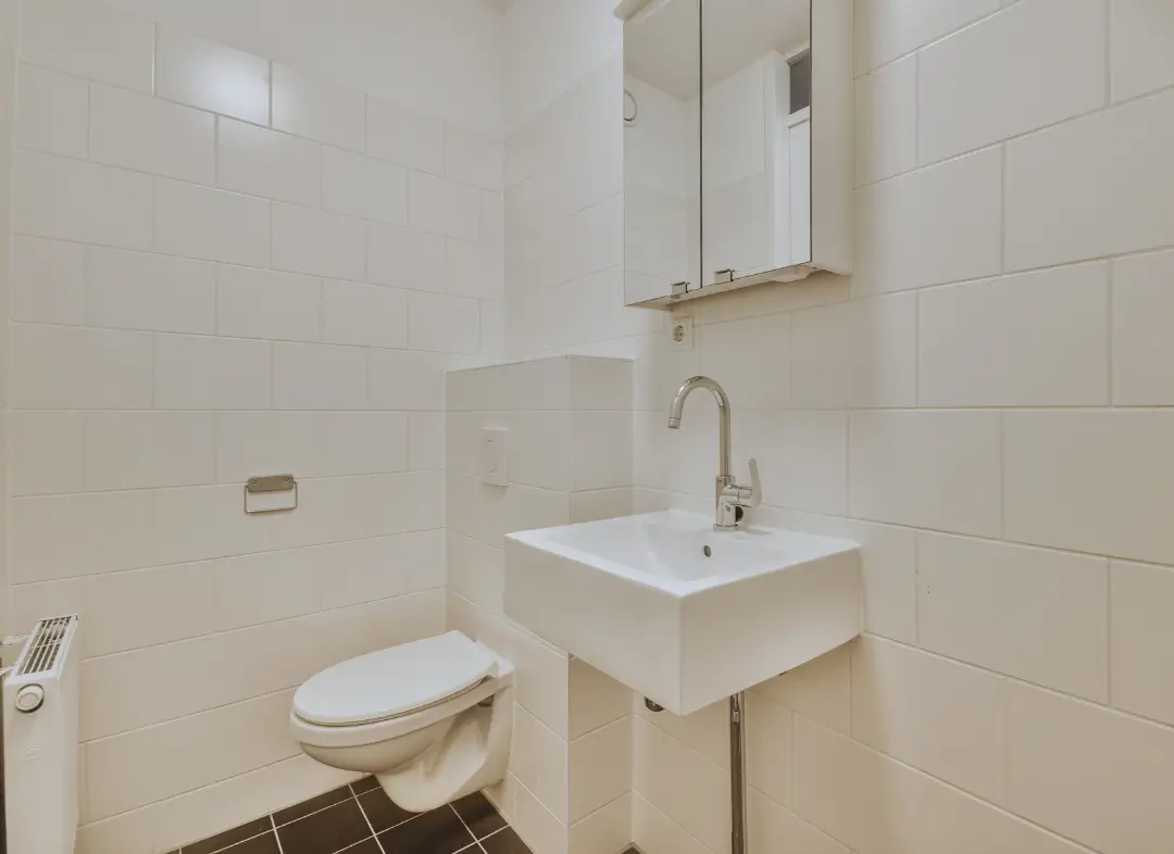 Pose WC Suspendu Saint-Lys